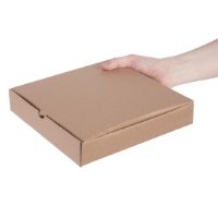 Fiesta Compostable Plain Pizza Boxes 9\" (Pack of 100)