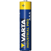 AA Alkaline Battery